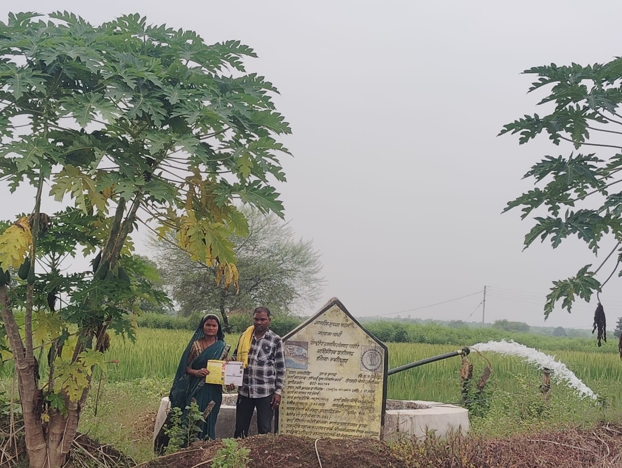सहसपुर लोहारा के कुरूवा पंचायत के कृषक चेतन धुर्वे की सफलता की कहानी — मनरेगा योजना से खेतों में लौटी हरियाली 07