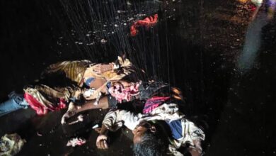 39fe6a1914c54f93a3dc4f4226dffd43