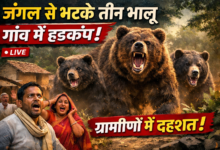 file 0000000024d871f8b4597c7237d38991