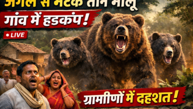 file 0000000024d871f8b4597c7237d38991