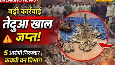 कवर्धा वनमंडल द्वारा तेंदुआ खाल जप्त, 5 आरोपी गिरफ्तार IMG 20260322 WA0005
